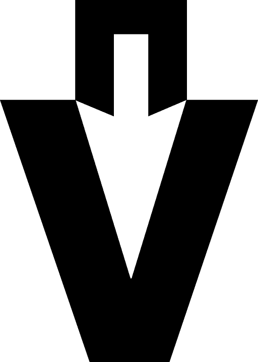 FV Logo